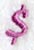 Carla Dollar Sign (3 Inch)