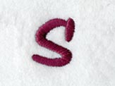 Casual Serif Lower Case Letter s (3 Inch)