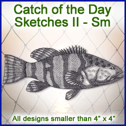 A Catch of the Day Sketches II Design Pack