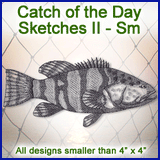 A Catch of the Day Sketches II Design Pack