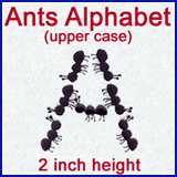 A Ant Alphabet Design Pack
