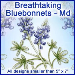 A Breathtaking Bluebonnets Design Pack