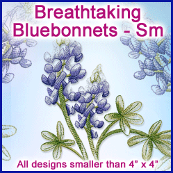 A Breathtaking Bluebonnets Design Pack