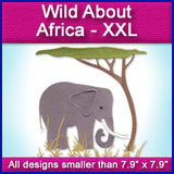 A Wild About Africa Design Pack