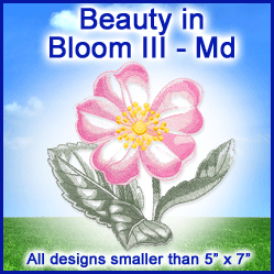 A Beauty in Bloom III Design Pack