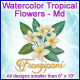 A Watercolor Tropical Flowers Design Pack