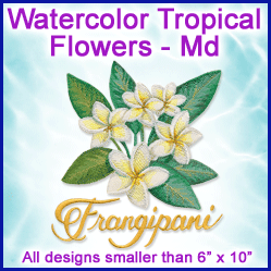 A Watercolor Tropical Flowers Design Pack