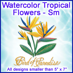 A Watercolor Tropical Flowers Design Pack