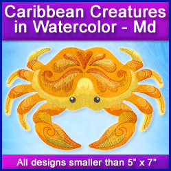 A Caribbean Creatures in Watercolor Design Pack