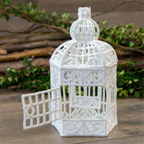 Birdcage in 3D (Lace)