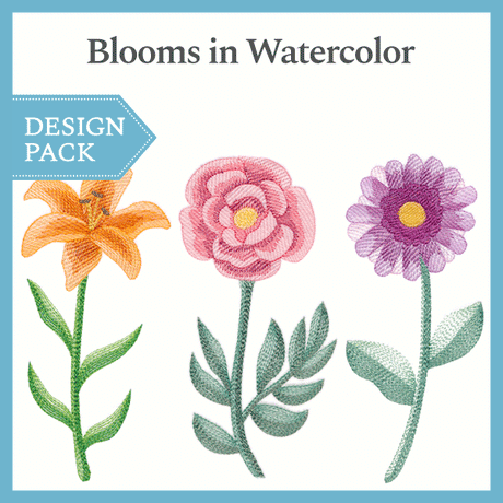 A Blooms in Watercolor Design Pack