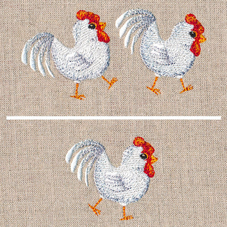Sweet Country Chickens Border