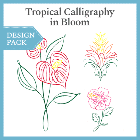 A Tropical Calligraphy in Bloom Design Pack