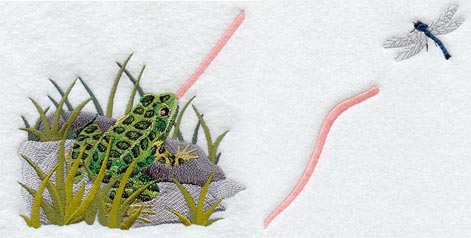 Hungry Frog - 2 Pieces