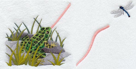 Hungry Frog - 2 Pieces