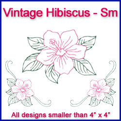 A Vintage Hibiscus Design Pack