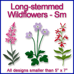 A Long-Stemmed Wildflowers Design Pack