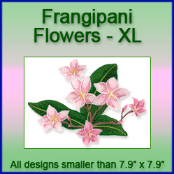 A Frangipani Flowers Design Pack