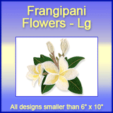 A Frangipani Flowers Design Pack