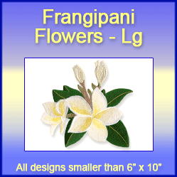 A Frangipani Flowers Design Pack