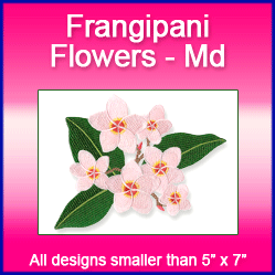A Frangipani Flowers Design Pack