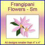 A Frangipani Flowers Design Pack