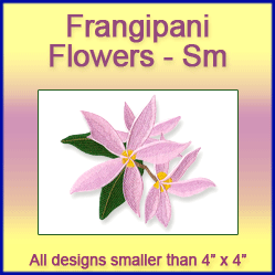 A Frangipani Flowers Design Pack
