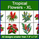 A Tropical Flowers Design Pack