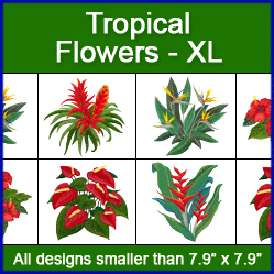 A Tropical Flowers Design Pack