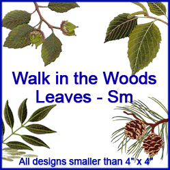 A Walk in the Woods Leaves Design Pack