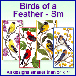 A Birds of a Feather Design Pack