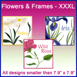 A Flowers and Frames Design Pack