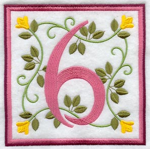 Friendship Square Number 6 - 6 inch (Applique)
