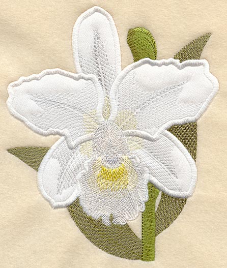 Orchid (Applique)