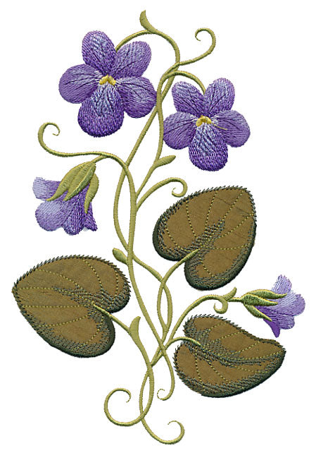 Wild Violets (Luxury Applique)