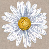 Delightful Daisy (Heirloom Applique)