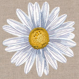 Delightful Daisy (Heirloom Applique)