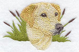 Labrador Retriever Head