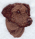 Labrador Retriever Head