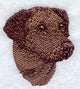Labrador Retriever Head