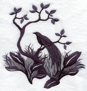 Bird of Paradise Silhouette Scene