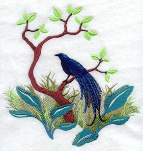 Bird of Paradise Silhouette Scene