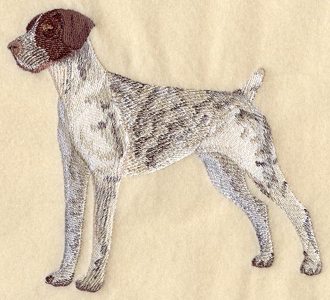German Shorthaired Pointer