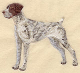 German Shorthaired Pointer