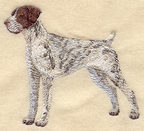 German Shorthaired Pointer