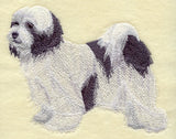 Tibetan Terrier
