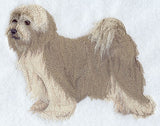 Tibetan Terrier