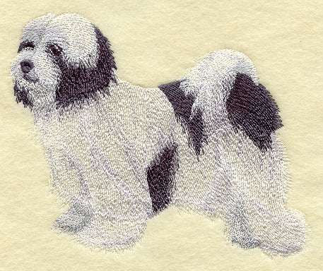 Tibetan Terrier