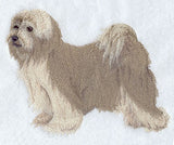 Tibetan Terrier