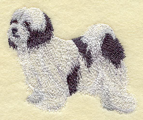 Tibetan Terrier
